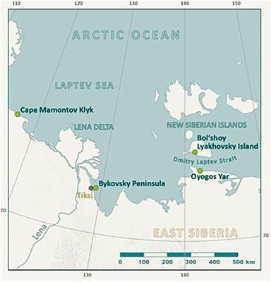 Mammoth Fauna Remains From Late Pleistocene Deposits of the Dmitry Laptev Strait South Coast (Northern Yakutia, Russia)